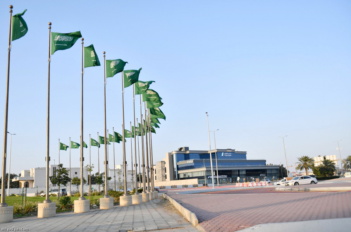 جدة تتوشح الأخضر السعودي