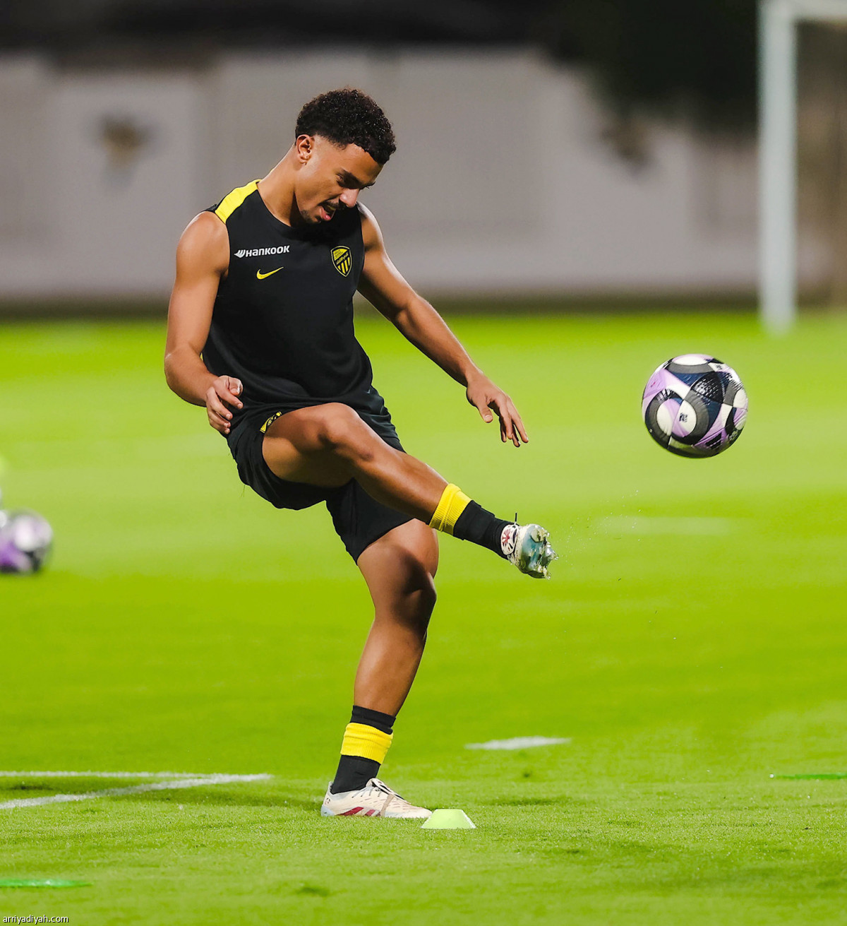 النمور تعاود الركض