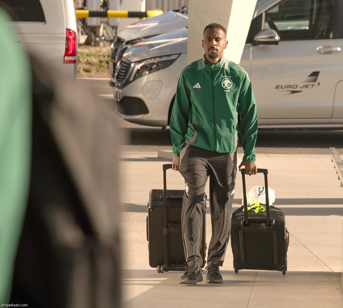 الصقور في براغ