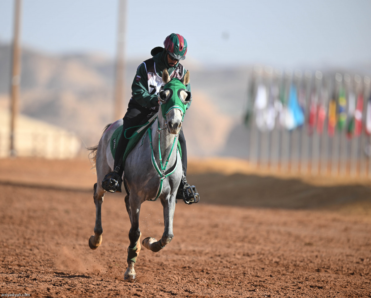 الفرسان في العُلا