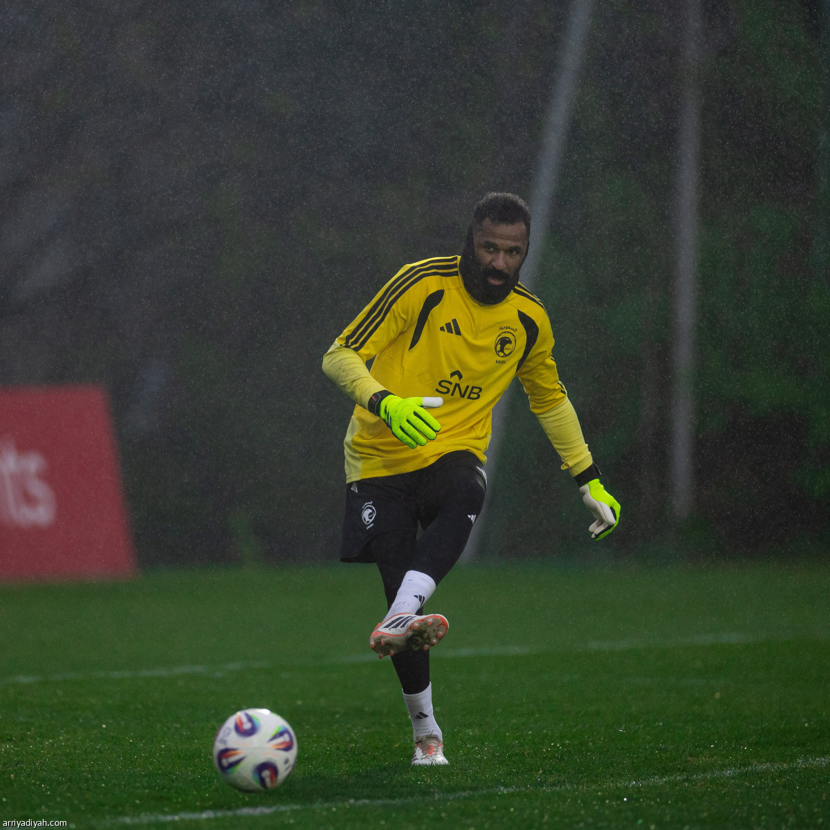 العويس جاهز