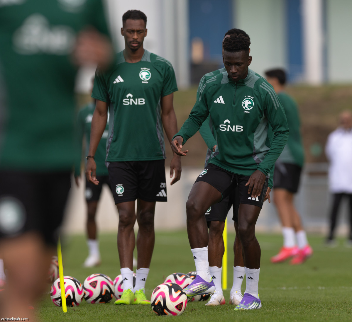 الصقور تتأهب