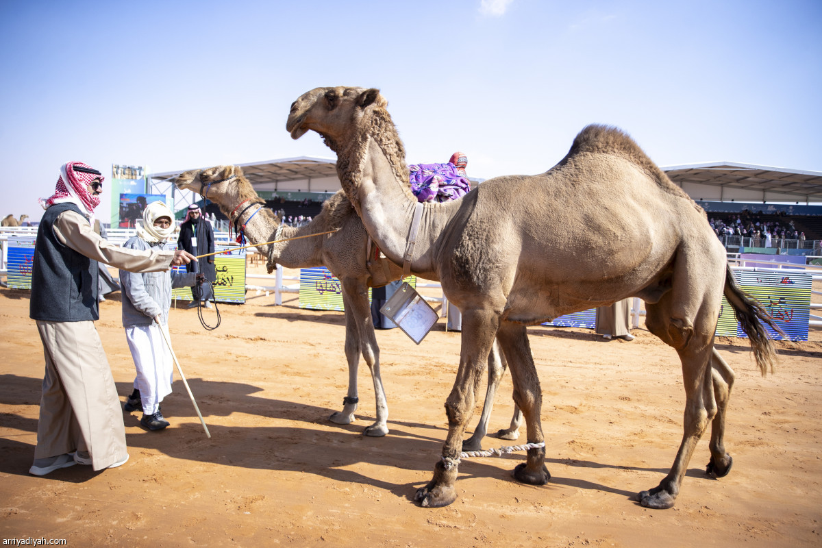 شوط «الرؤية»