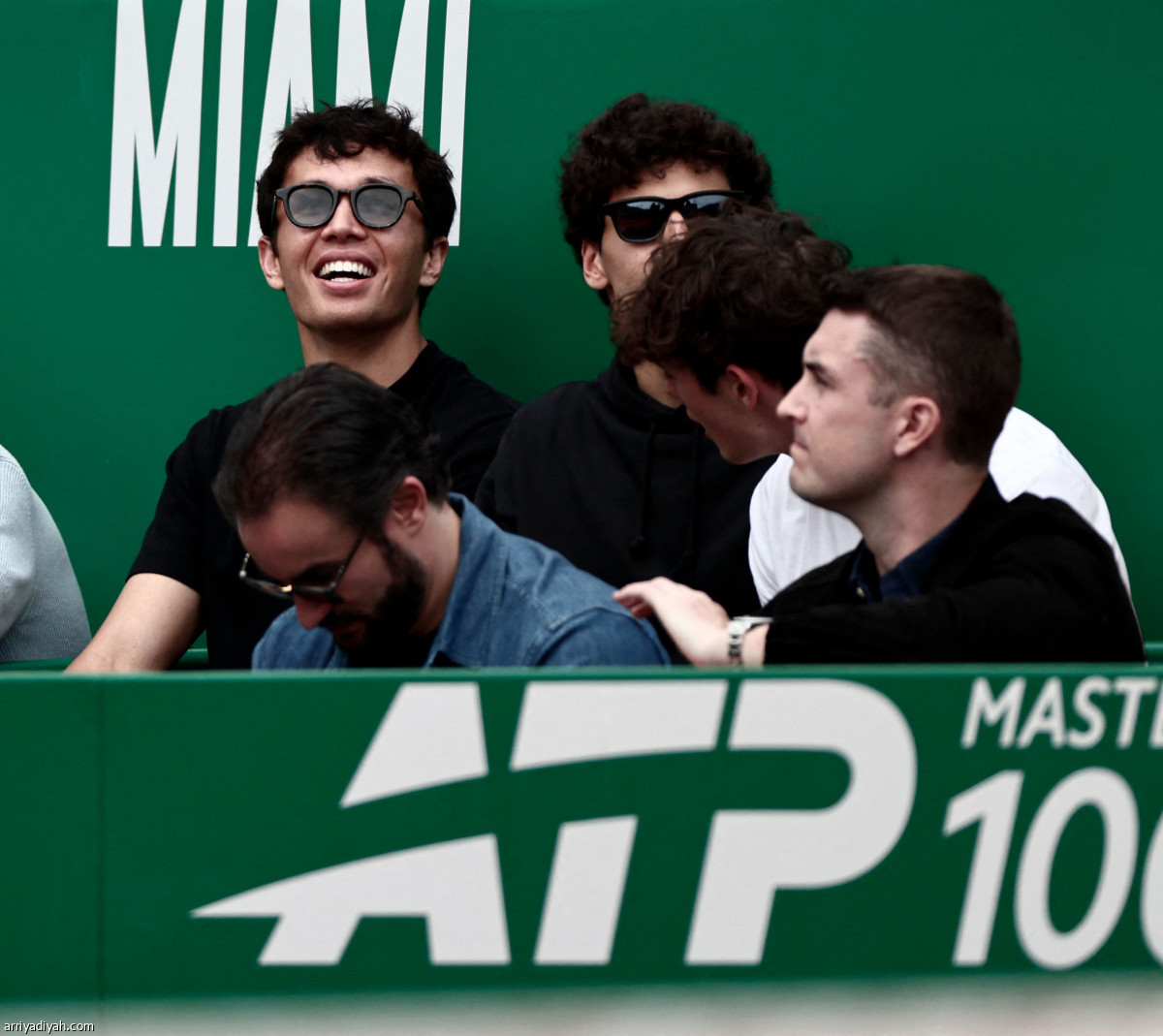 المشاهير يحضرون