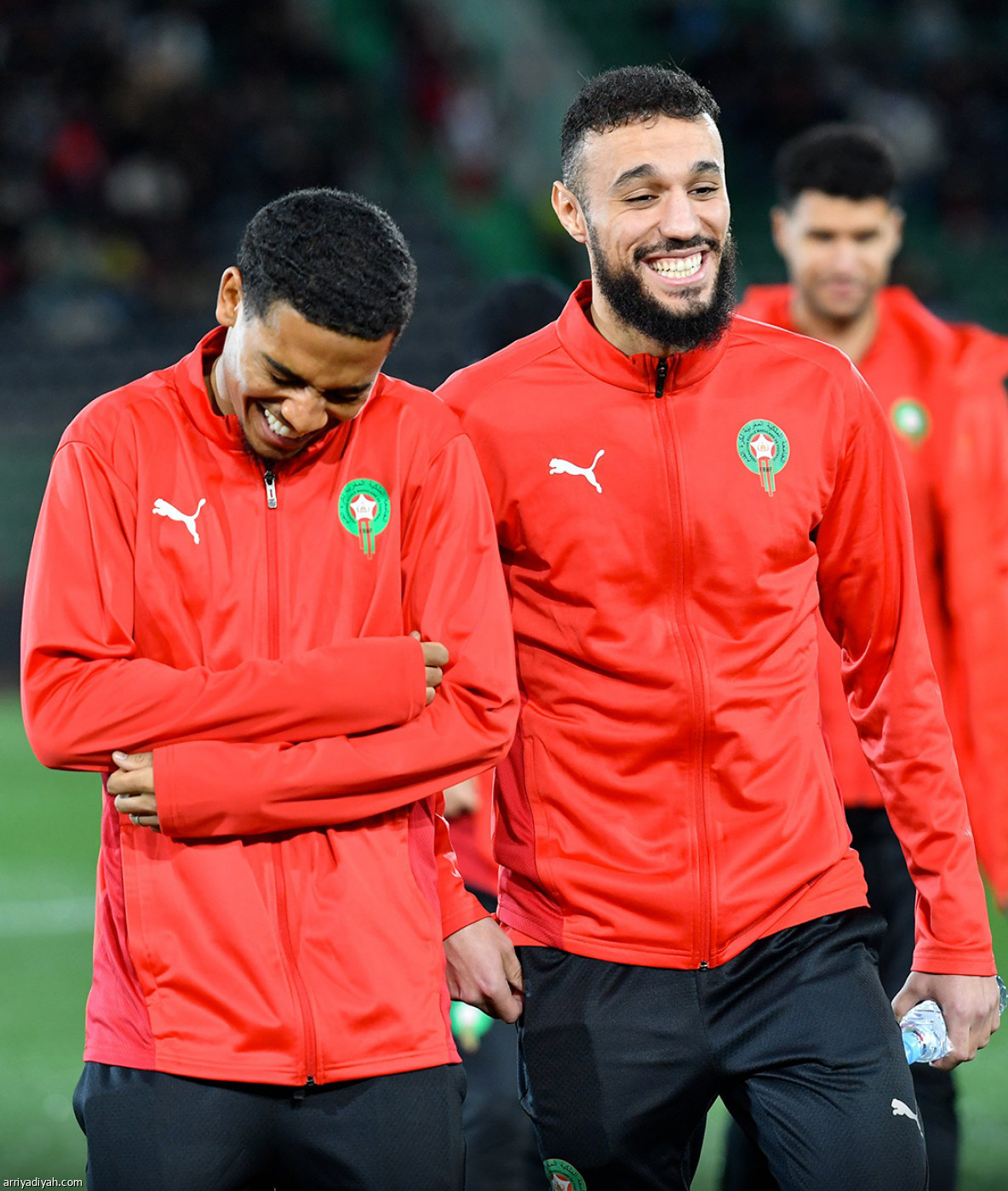 المغربي في «الشرفي»