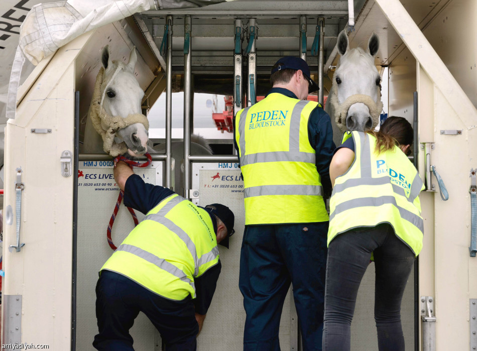 جياد العالم تصل إلى الرياض