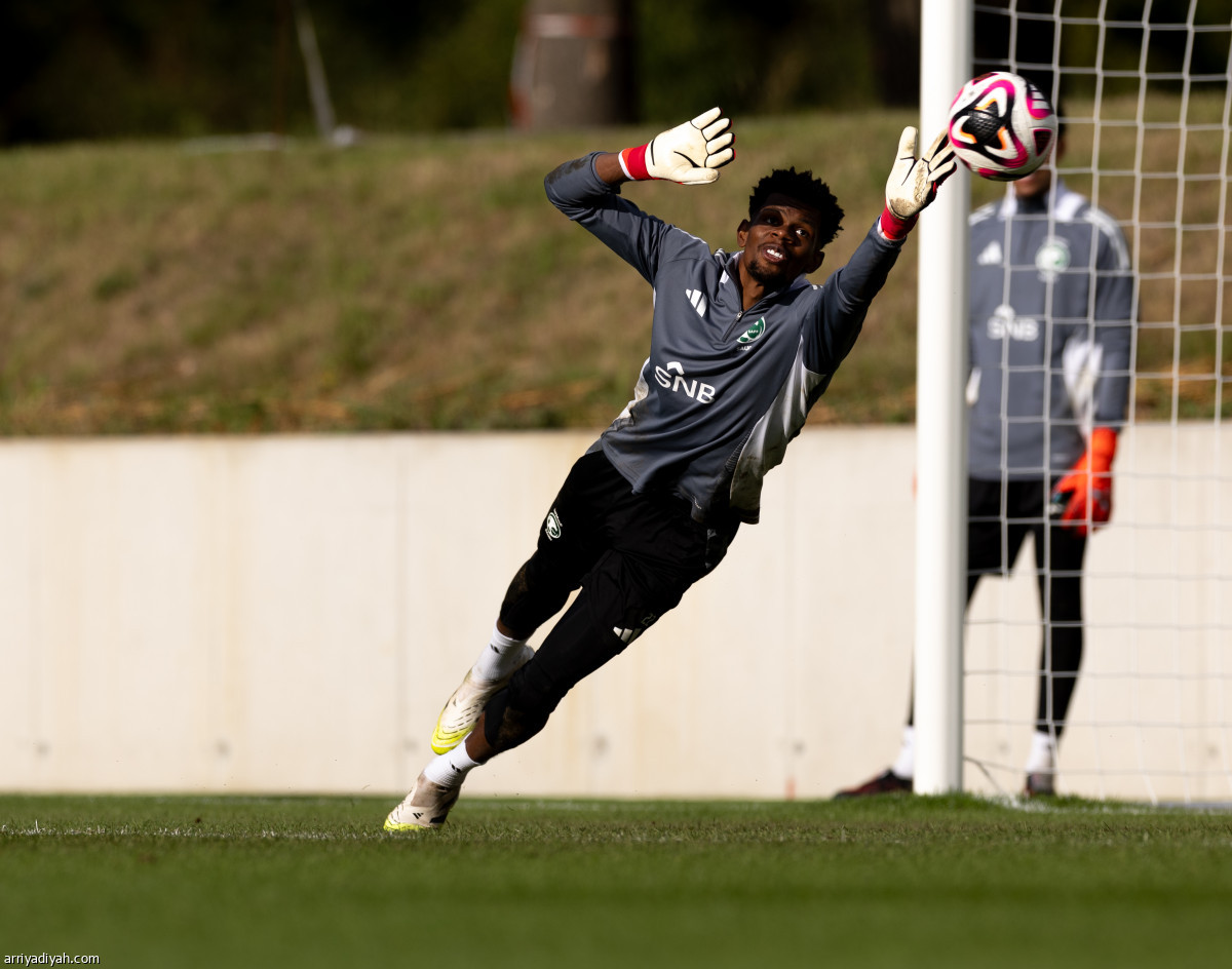 الصقور تتأهب