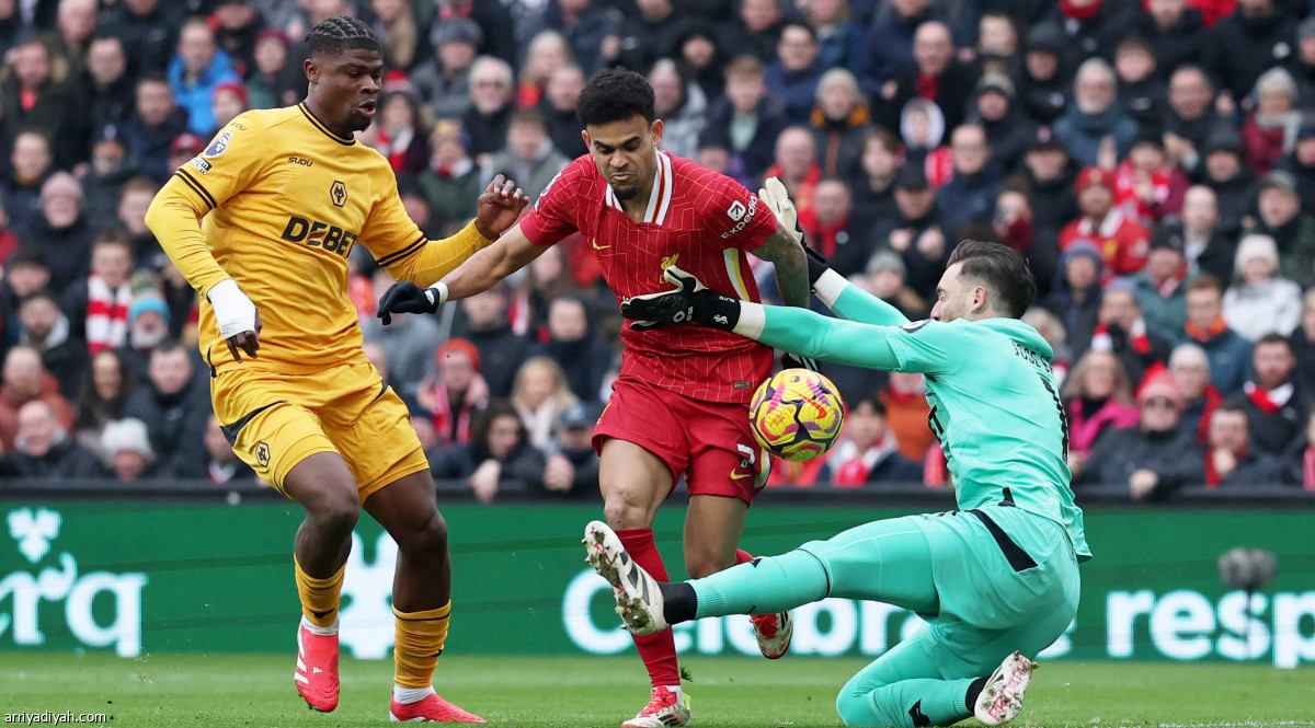 فرحة الريدز