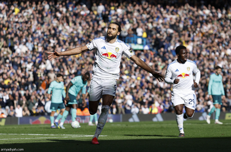 بورنموث يسقط نيوكاسل.. وليدز يزيد متاعب «الذئاب»