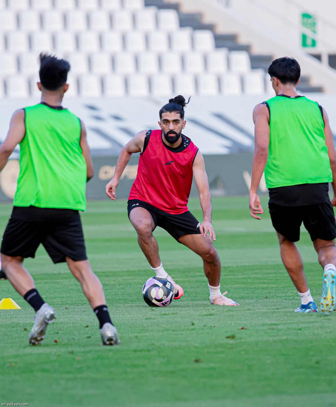 الليوث تعود