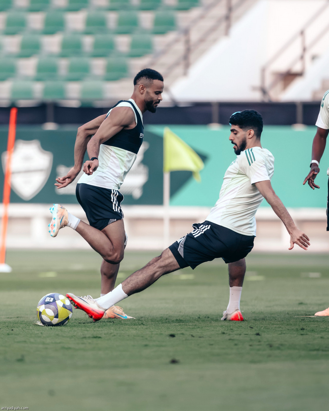 الأهلي جاهز