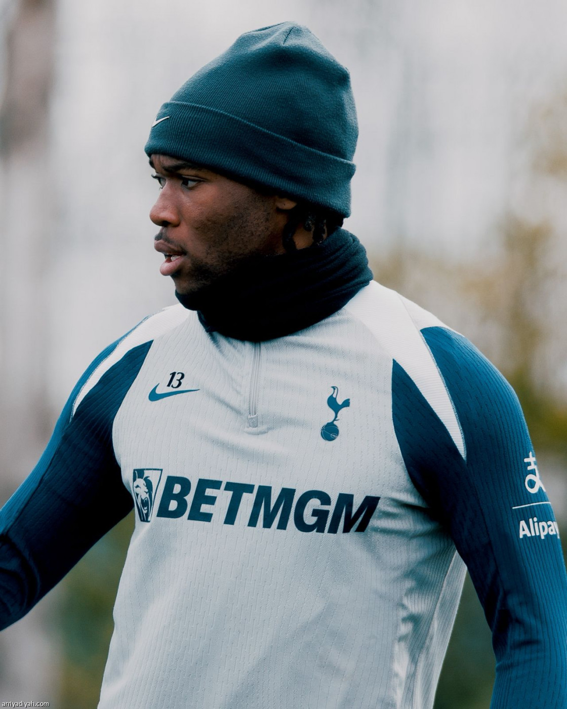 توتنام ينهي التحضيرات