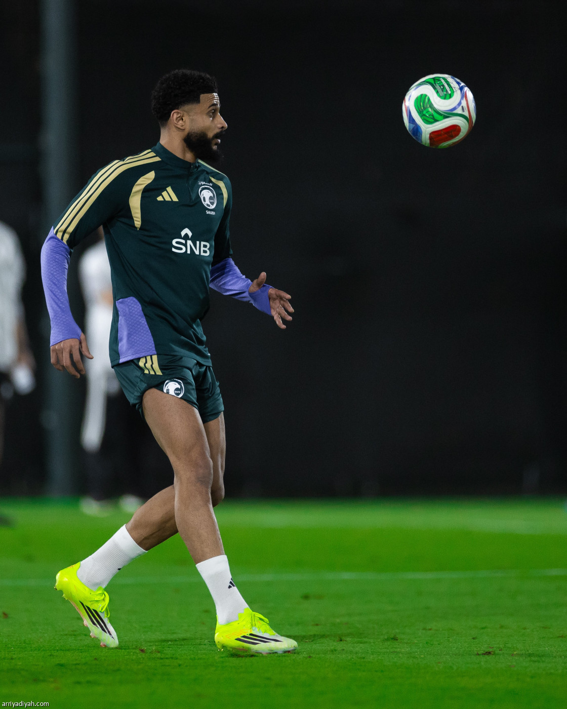 الصقور جاهزة