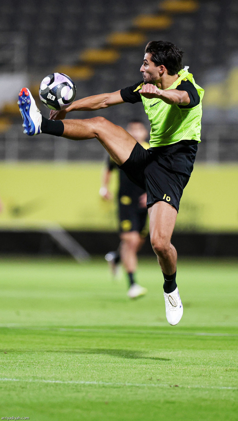 النمور تستنفر