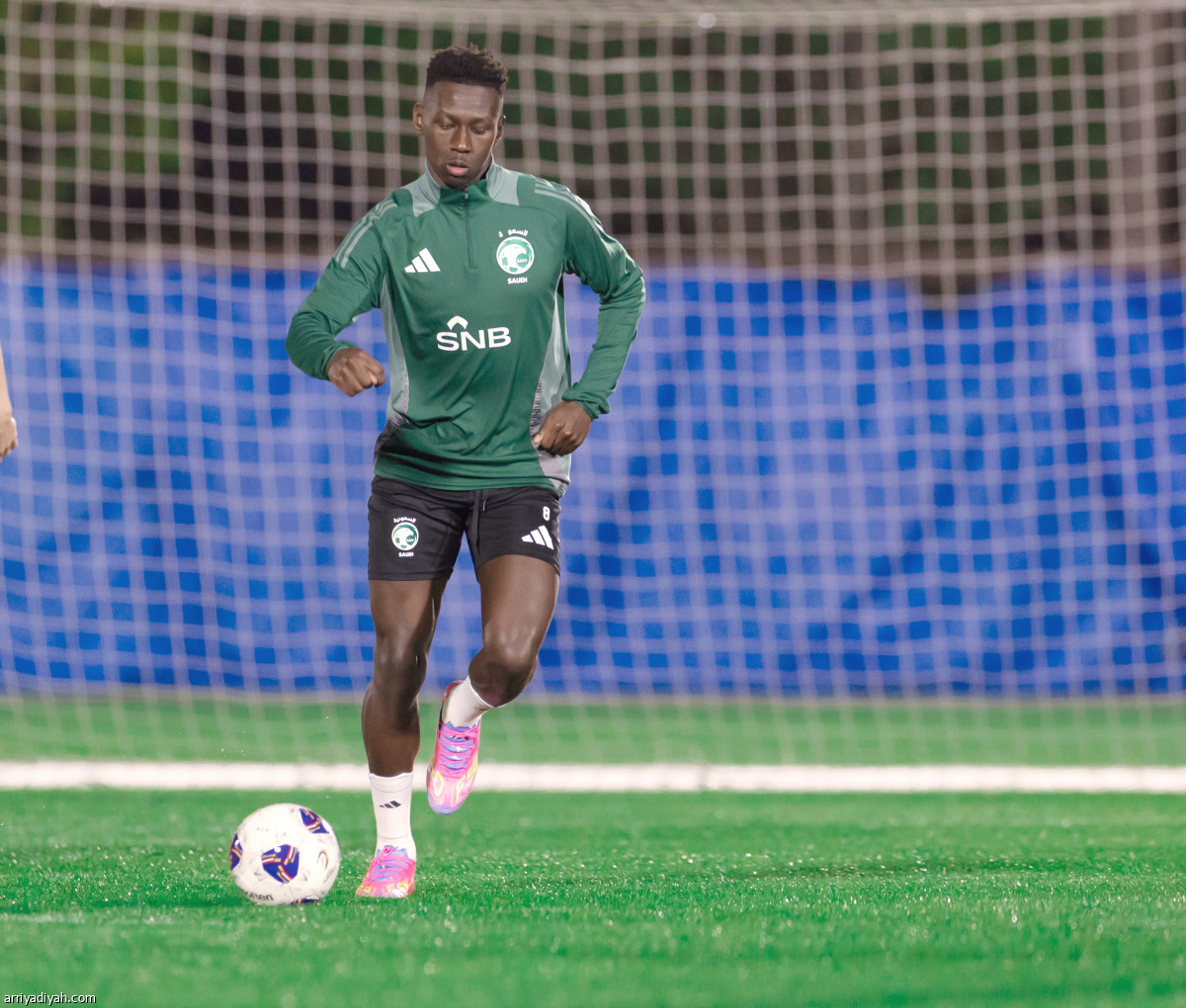 إطلالة الصقور