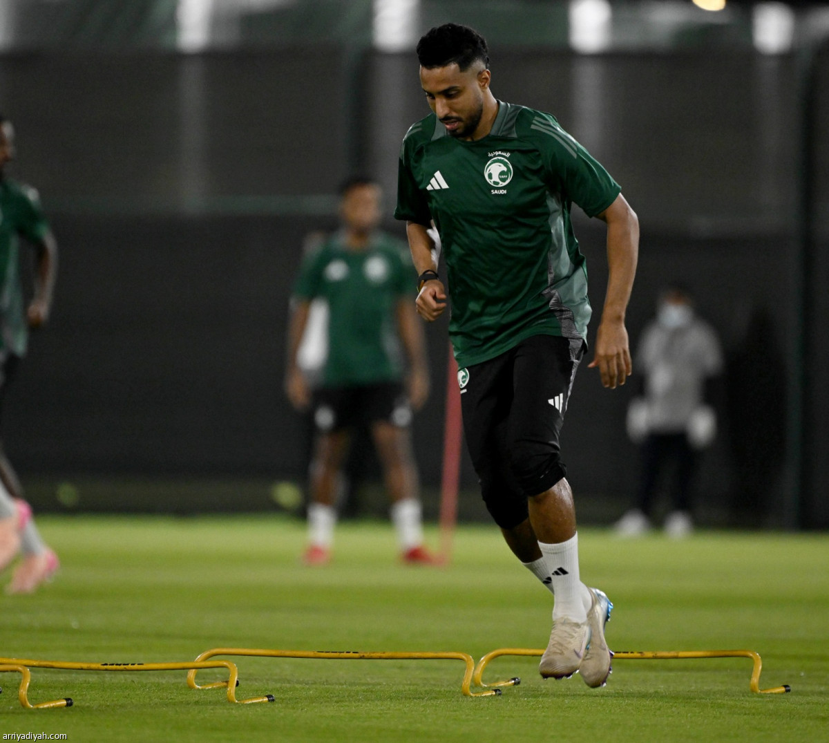 تأهب الصقور والكناغر