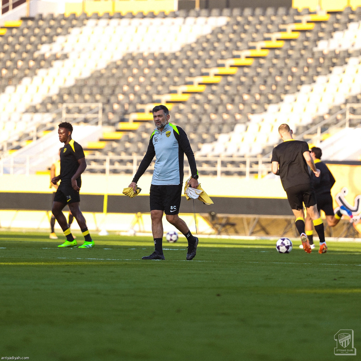 المدرج يؤازر «النمور»